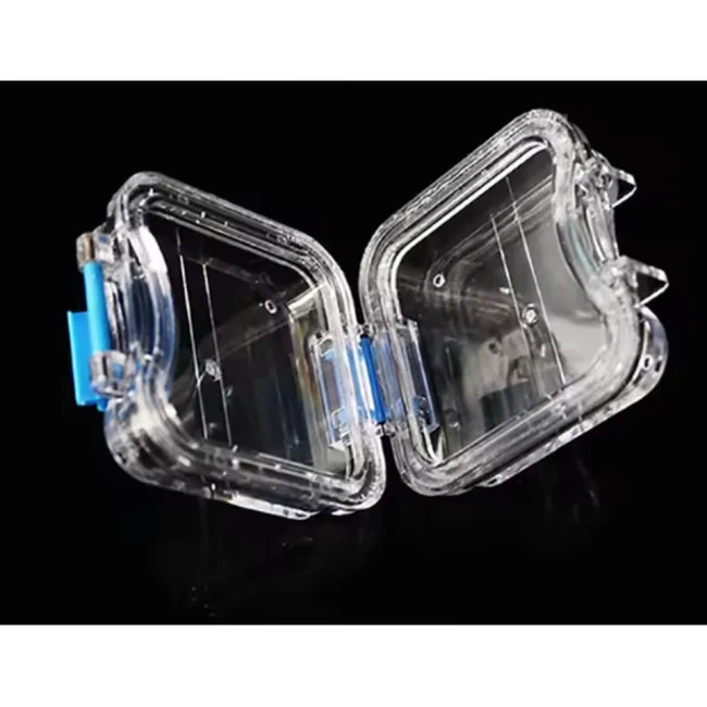 New Plastic Membrane Tooth Box Denture Tooth Box