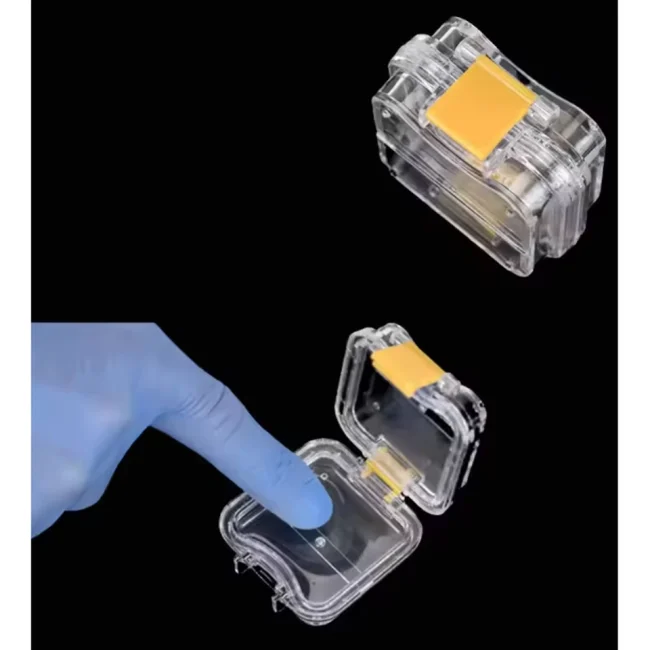 New Plastic Membrane Tooth Box Denture Tooth Box